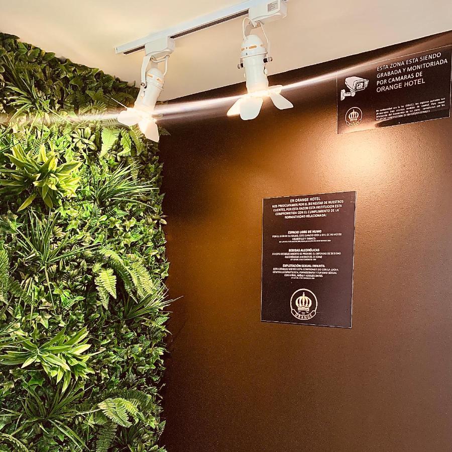 波哥大 Orange Wild酒店 外观 照片